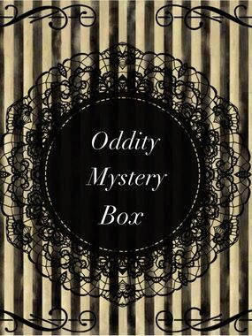 Vintage Black and Cream Oddity Mystery Box